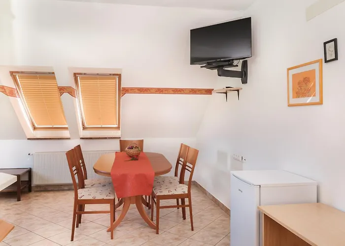 Διαμέρισμα Suster *