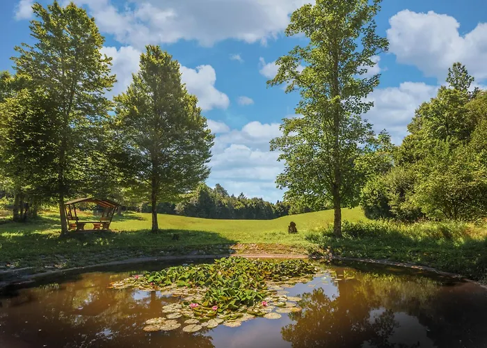 Suster Stari Trg ob Kolpi