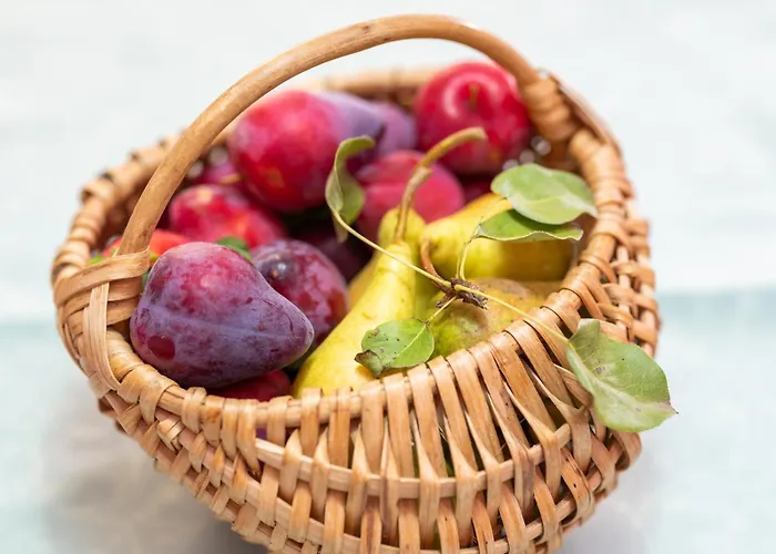 Διαμέρισμα Suster *