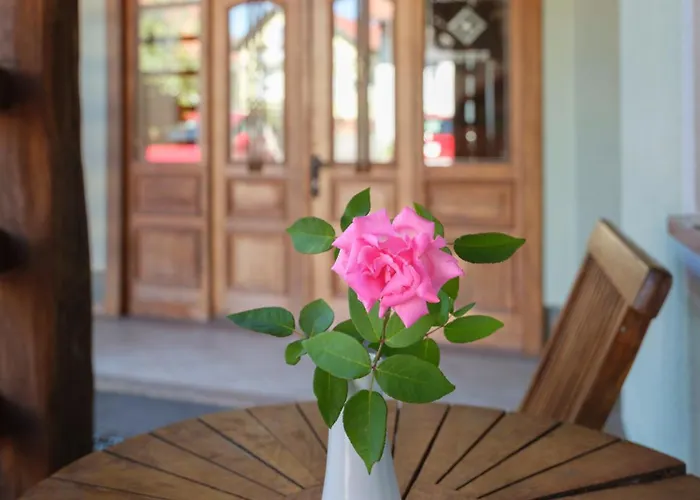 Suster Stari Trg ob Kolpi